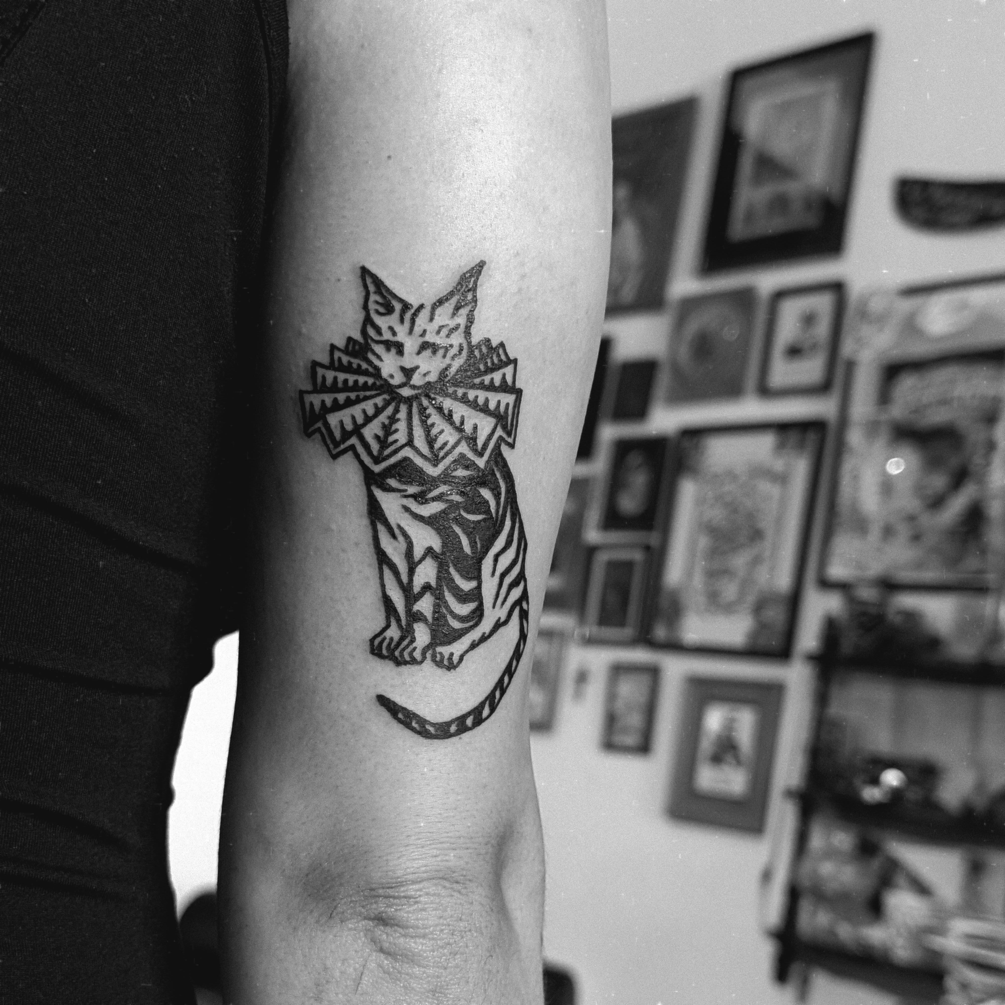 Chat en collerette, blackwork sur le bras